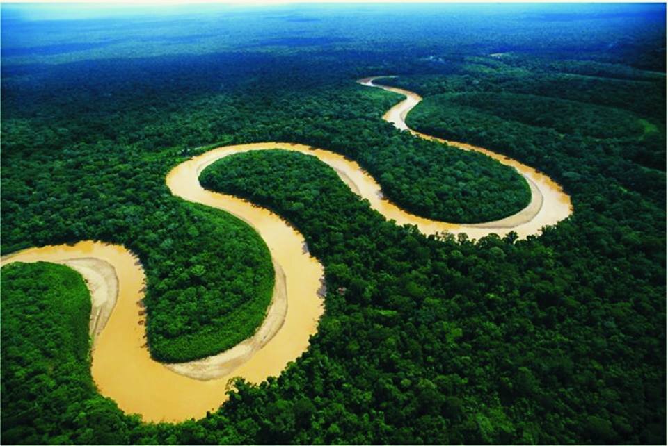 Amazon Jungle